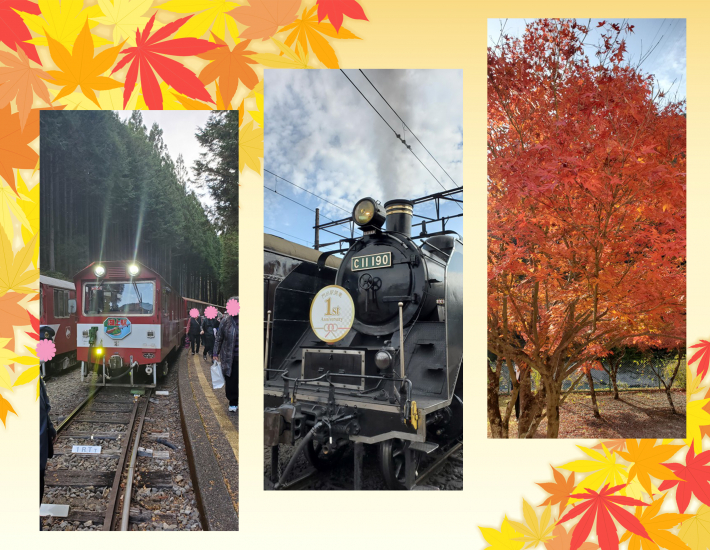 大井川鐵道SLと紅葉のアプトライン1泊2日の旅【1日目】