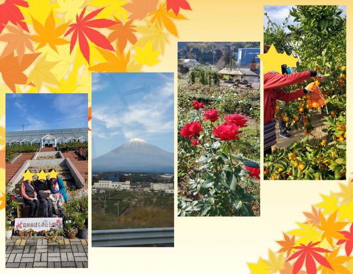 大井川鐵道SLと紅葉のアプトライン1泊2日の旅【2日目】 