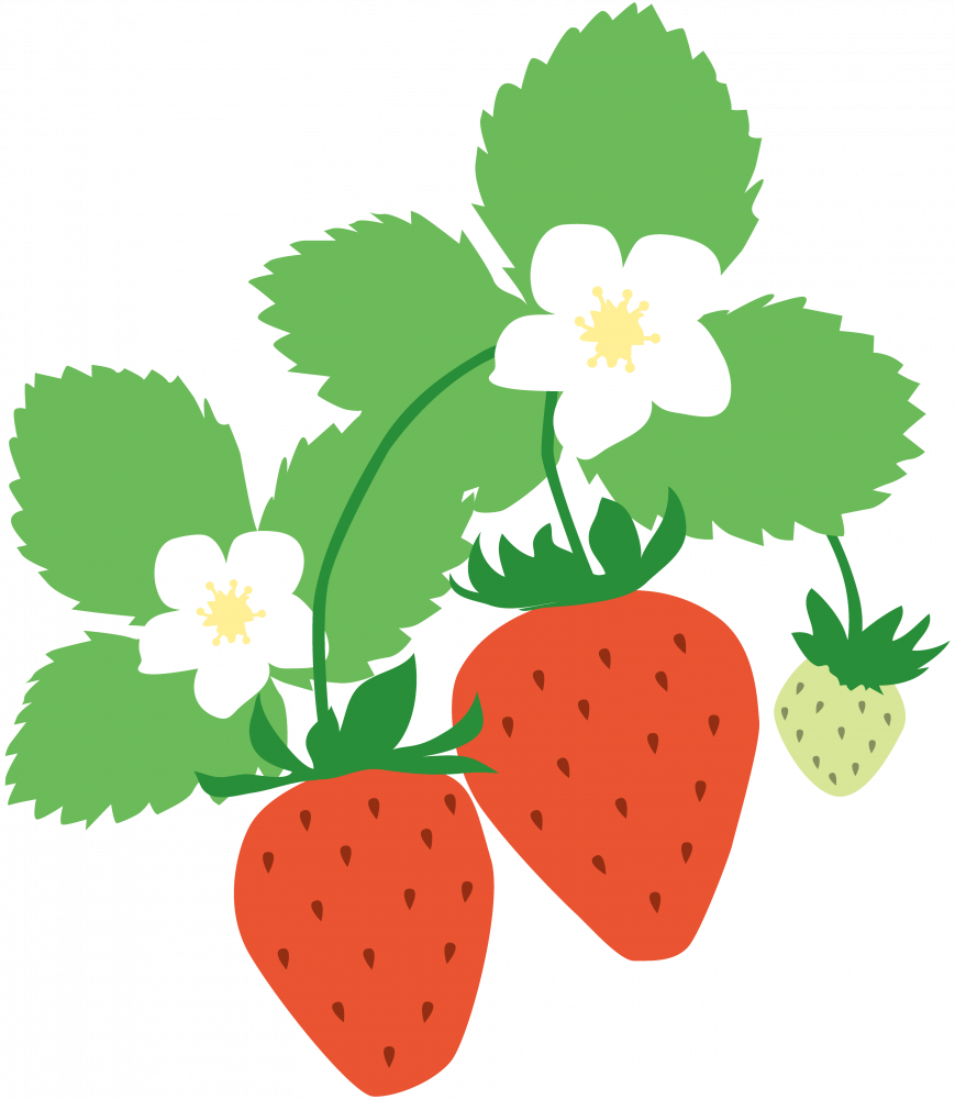 【栃木県】恒例❣いちごファイナル！箱いっぱーい山盛り詰め放題！あしかがフラワーパーク花の饗宴