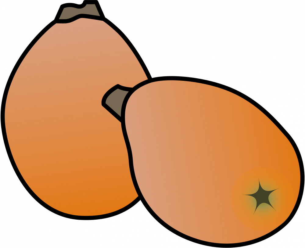 【千葉県】房総の献上びわ食べ放題・古民家でイタリアンランチ！