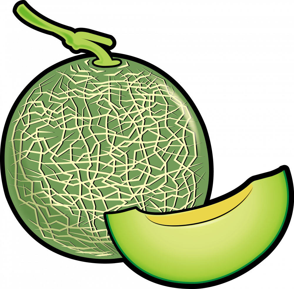 【茨城県】メロン1/2カット試食と1個お土産・那珂湊磯料理の旅